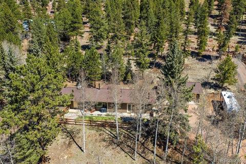 34736 Circle Dr, Pine, CO 80470 photo 30