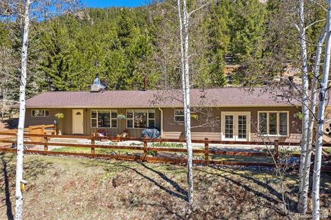 34736 Circle Dr, Pine, CO 80470 photo 1
