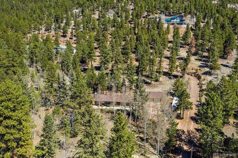 34736 Circle Dr, Pine, CO 80470 photo 33