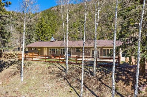 34736 Circle Dr, Pine, CO 80470 photo 25