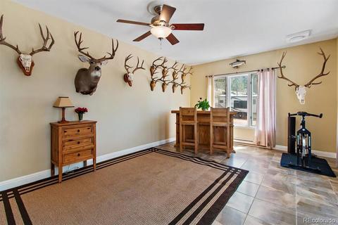 34736 Circle Dr, Pine, CO 80470 photo 21