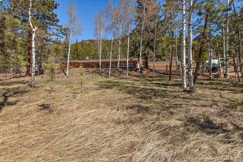 34736 Circle Dr, Pine, CO 80470 photo 26