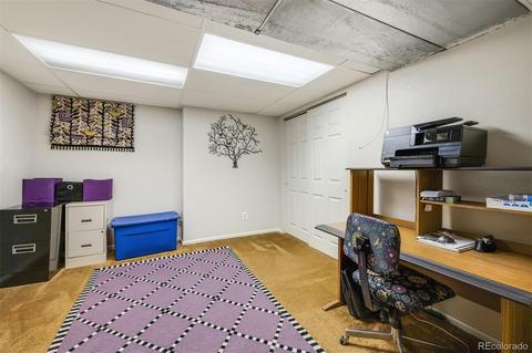 3602 E 133rd Ct, Thornton, CO 80241 photo 21