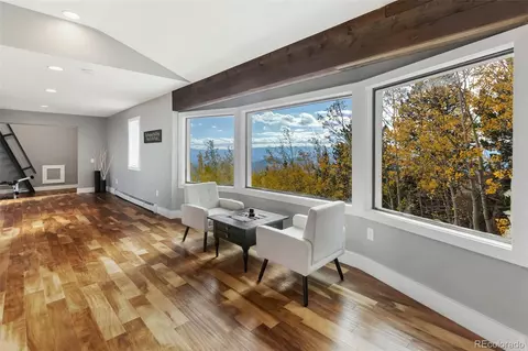 Living - 10835 Beas Dr, Conifer, CO 80433 photo 12 of 13