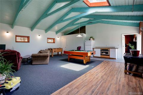 4520 County Road 43, Bailey, CO 80421 photo 20