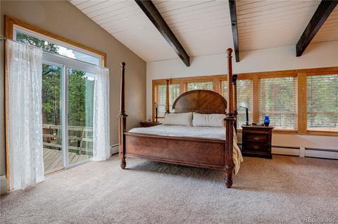 4520 County Road 43, Bailey, CO 80421 photo 10