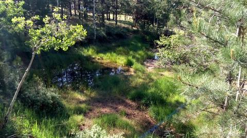 4520 County Road 43, Bailey, CO 80421 photo 28