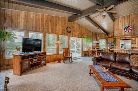 4520 County Road 43, Bailey, CO 80421 photo 4