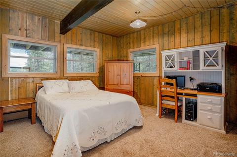 4520 County Road 43, Bailey, CO 80421 photo 17