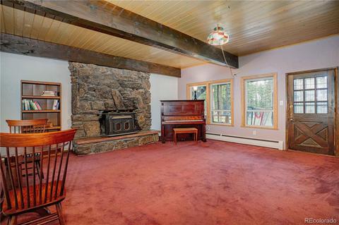 4520 County Road 43, Bailey, CO 80421 photo 16