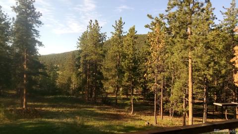 4520 County Road 43, Bailey, CO 80421 photo 32