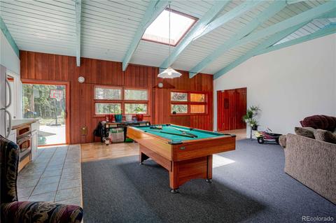 4520 County Road 43, Bailey, CO 80421 photo 21