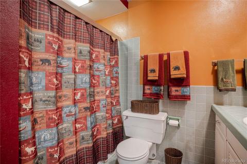 4520 County Road 43, Bailey, CO 80421 photo 15
