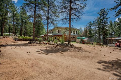 4520 County Road 43, Bailey, CO 80421 photo 2