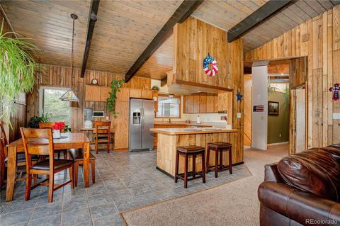 4520 County Road 43, Bailey, CO 80421 photo 5