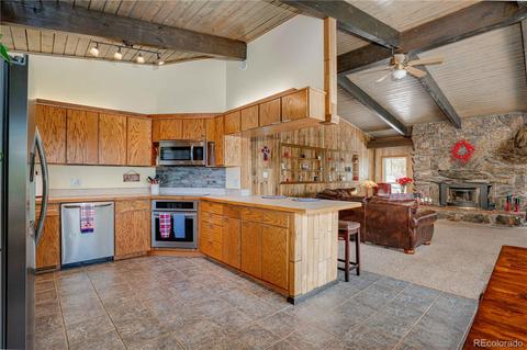 4520 County Road 43, Bailey, CO 80421 photo 6