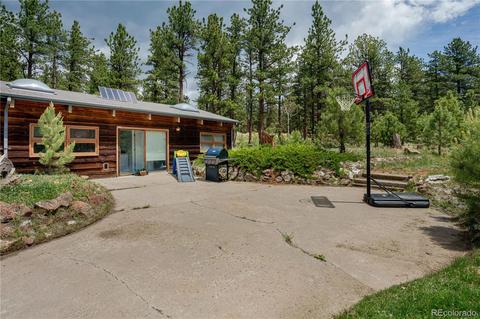 4520 County Road 43, Bailey, CO 80421 photo 27