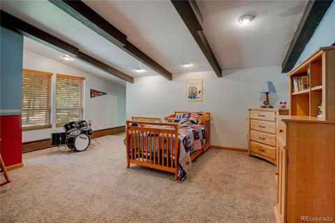 4520 County Road 43, Bailey, CO 80421 photo 13