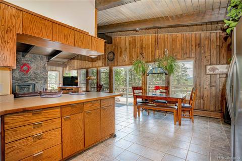 4520 County Road 43, Bailey, CO 80421 photo 8