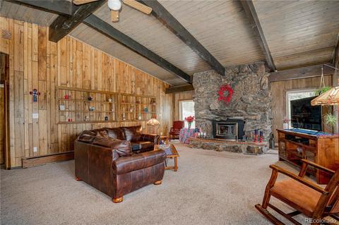 4520 County Road 43, Bailey, CO 80421 photo 3
