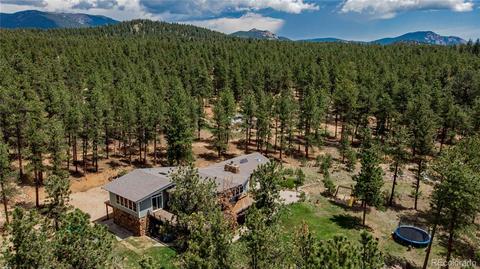 4520 County Road 43, Bailey, CO 80421 photo 29
