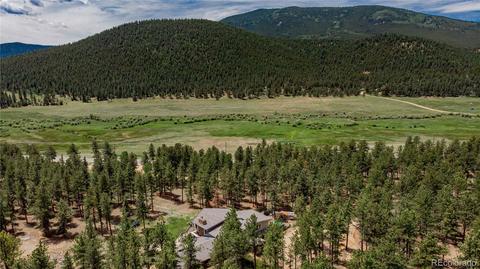 4520 County Road 43, Bailey, CO 80421 photo 30