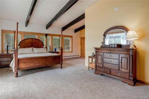4520 County Road 43, Bailey, CO 80421 photo 9