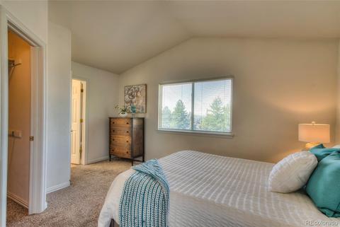2913 S Tower Way, Aurora, CO 80013 photo 20