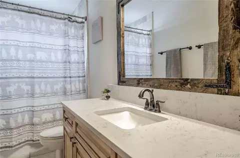 9 Crown Ct, Dillon, CO 80435 photo 15