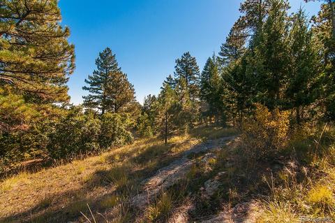 6094 Northway Dr, Morrison, CO 80465 photo 11