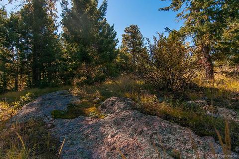 6094 Northway Dr, Morrison, CO 80465 photo 13