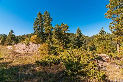 6094 Northway Dr, Morrison, CO 80465 photo 8