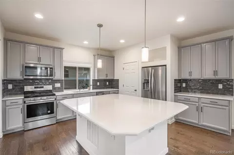 3736 Sanguine Cir, Castle Rock, CO 80109
