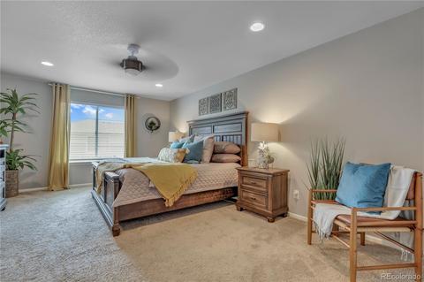 26882 Easter Pl, Aurora, CO 80016 photo 24
