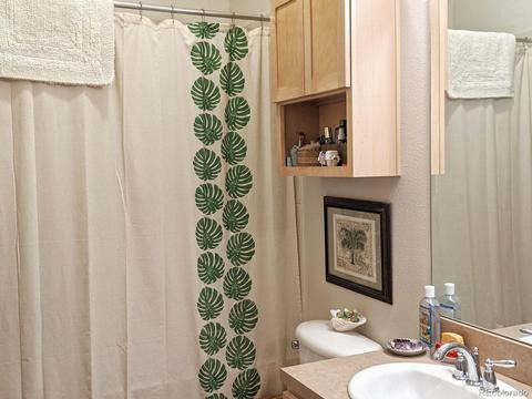 7700 E 29th Ave #309, Denver, CO 80238 photo 10