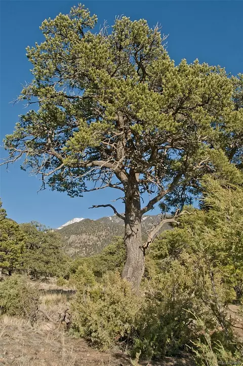 3609 Splendid Ter, Crestone, CO 81131 photo 9