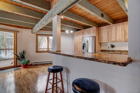 1188 Mount Evans Blvd, Pine, CO 80470 photo 8