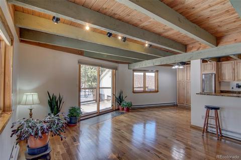1188 Mount Evans Blvd, Pine, CO 80470 photo 11