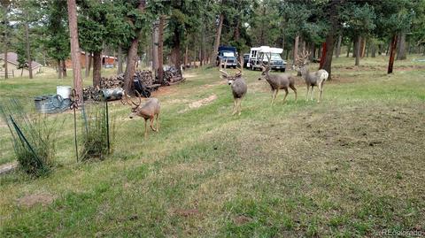 1188 Mount Evans Blvd, Pine, CO 80470 photo 39