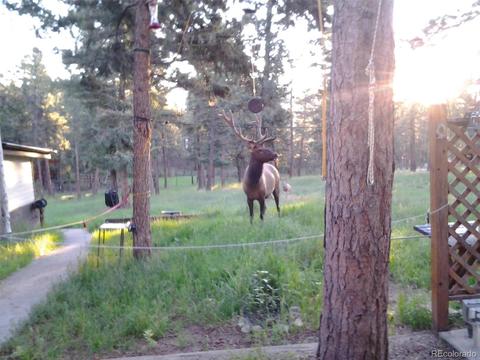 1188 Mount Evans Blvd, Pine, CO 80470 photo 40