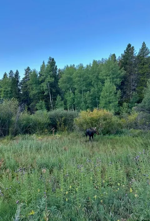 902 Bear Mountain Rd, Black Hawk, CO 80422 photo 43