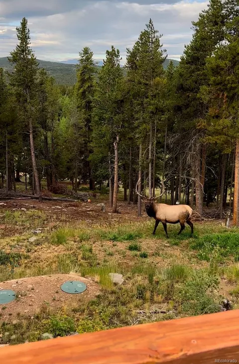 902 Bear Mountain Rd, Black Hawk, CO 80422 photo 40