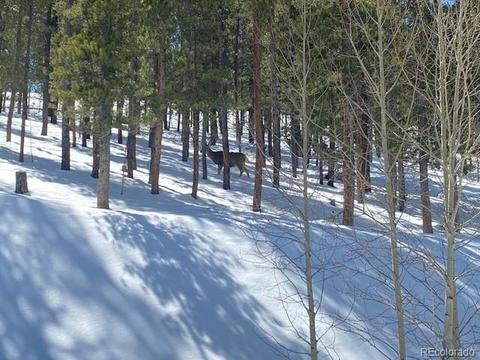 647 Gold Flake Ter, Bailey, CO 80421 photo 8
