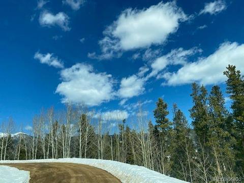 647 Gold Flake Ter, Bailey, CO 80421 photo 3