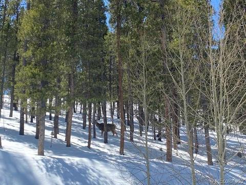 647 Gold Flake Ter, Bailey, CO 80421 photo 9