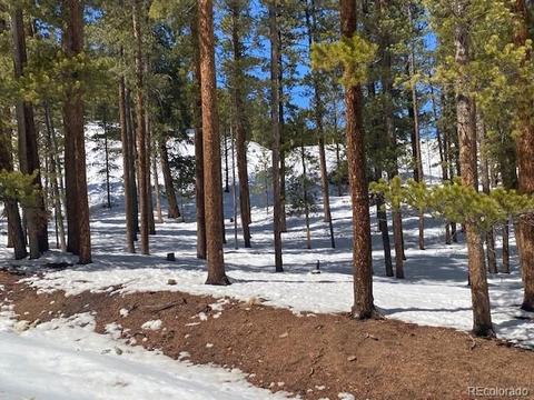 647 Gold Flake Ter, Bailey, CO 80421 photo 6