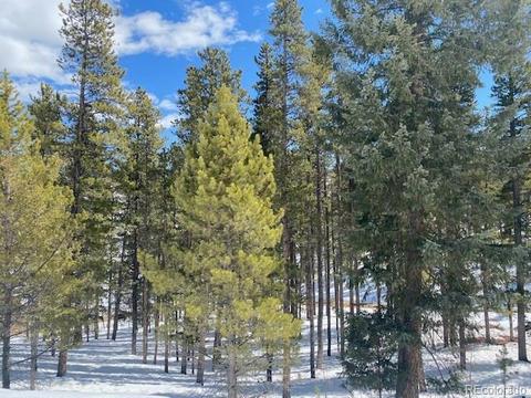 647 Gold Flake Ter, Bailey, CO 80421 photo 14
