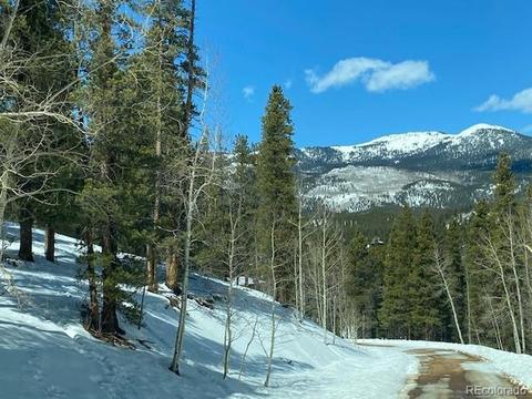 647 Gold Flake Ter, Bailey, CO 80421 photo 1
