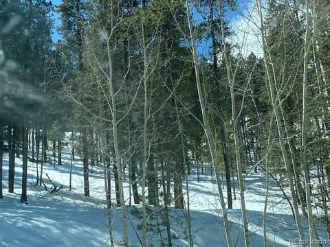 647 Gold Flake Ter, Bailey, CO 80421 photo 7