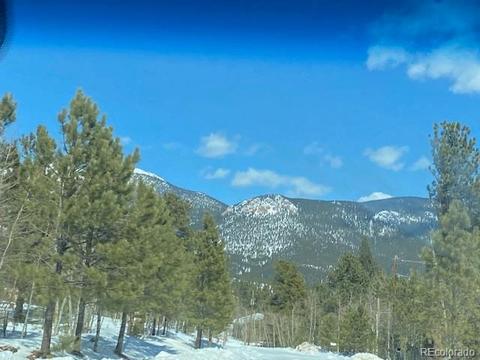 647 Gold Flake Ter, Bailey, CO 80421 photo 5